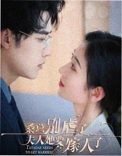 美女免费观看完整版高清电视剧 倾城之恋